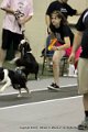 IMG_1045