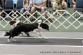 IMG_1053