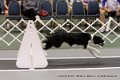 IMG_1055