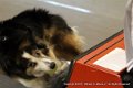 IMG_1225