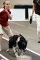 IMG_1242