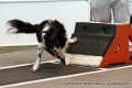 IMG_1405