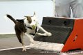 IMG_1408