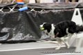 IMG_1435