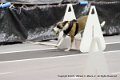 IMG_1442