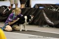 IMG_1450
