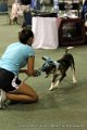 IMG_1471