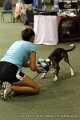 IMG_1472