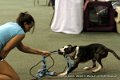 IMG_1477
