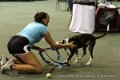 IMG_1478