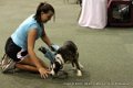 IMG_1479