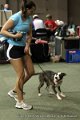 IMG_1482