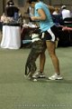 IMG_1486