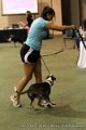 IMG_1490