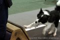 IMG_1496