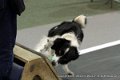IMG_1497