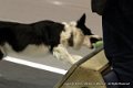 IMG_1509