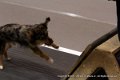 IMG_1511