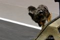 IMG_1513
