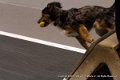 IMG_1533