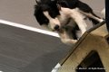 IMG_1543