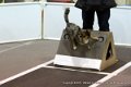 IMG_1550