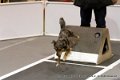 IMG_1551