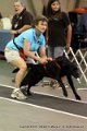 IMG_1566