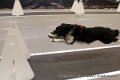 IMG_1610