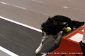 IMG_1638