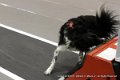 IMG_1639