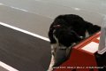 IMG_1640
