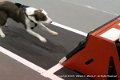 IMG_1644