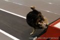IMG_1656