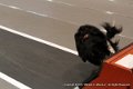 IMG_1661