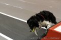 IMG_1662