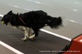 IMG_1664