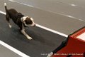 IMG_1666