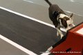 IMG_1668