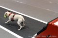 IMG_1677