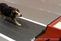 IMG_1683
