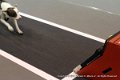 IMG_1697