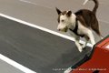 IMG_1701