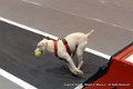 IMG_1707