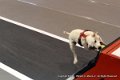 IMG_1711