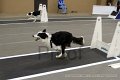 IMG_5669