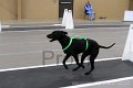 IMG_5672
