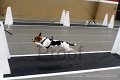 IMG_5697