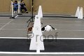IMG_5698
