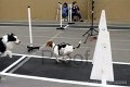 IMG_5699